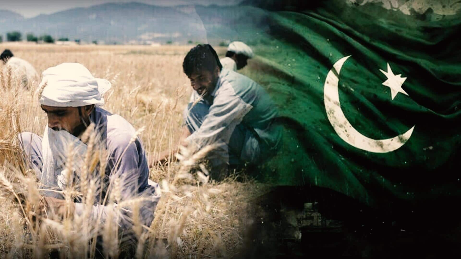 #NewsBytesExplainer: पाकिस्तान में गेहूं को लेकर क्यों सड़कों पर किसान, क्या है गेहूं आयात घोटाला?