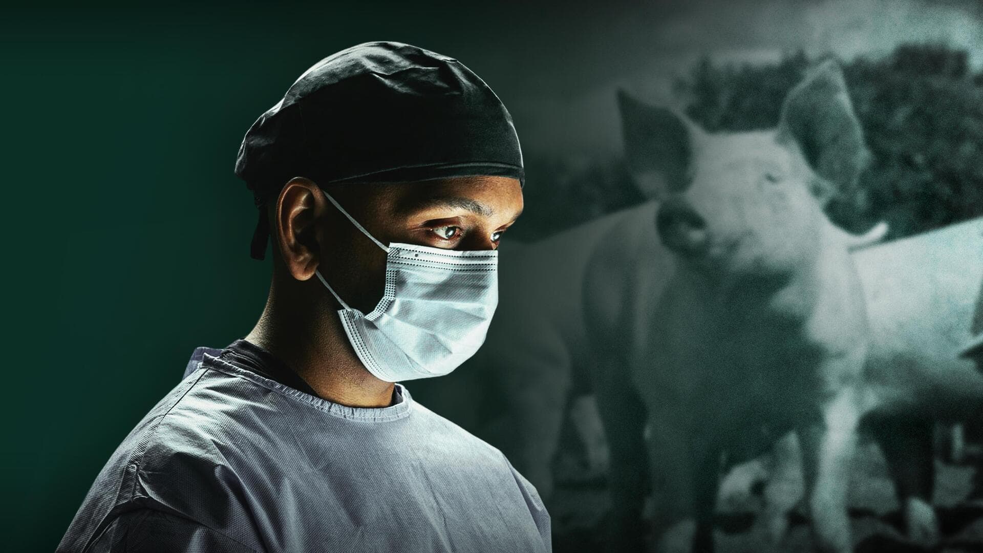 अमेरिका: डॉक्टरों ने इंसान के शरीर में लगाई सुअर की किडनी, दिख रहे सकारात्मक नतीजे