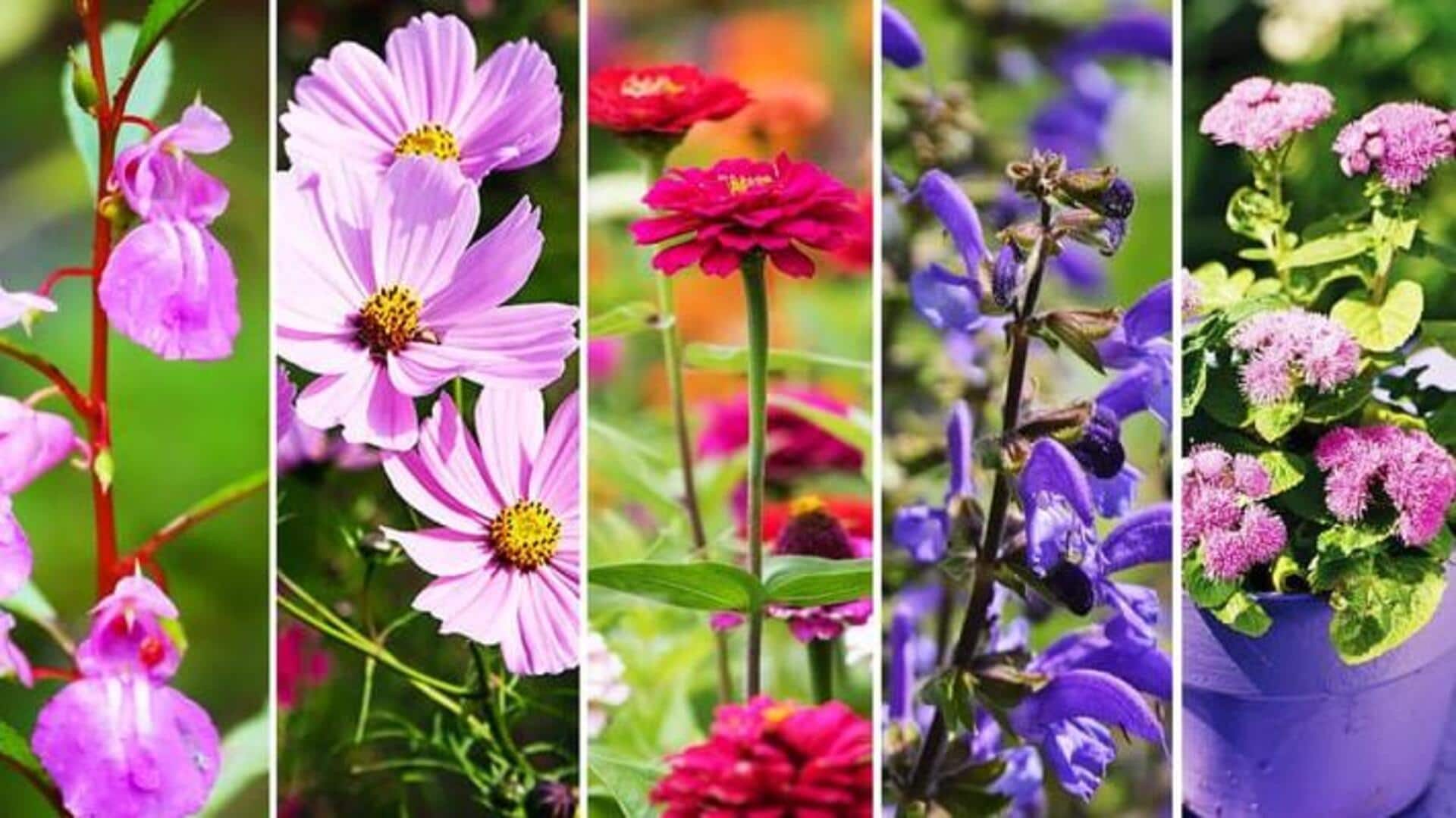 मानसून के दौरान अपने गार्डन में लगाएं ये फूल वाले पौधे, लगेंगे बहुत खूबसूरत
