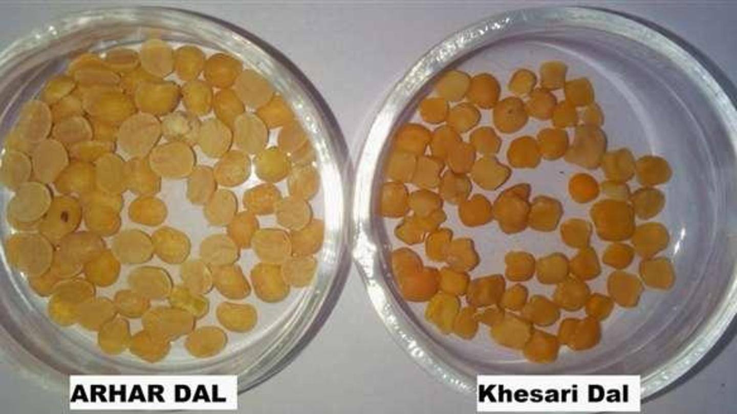 ऐसे लगाएं मिलावट का पता ऐसे लगाएं मिलावट का पता