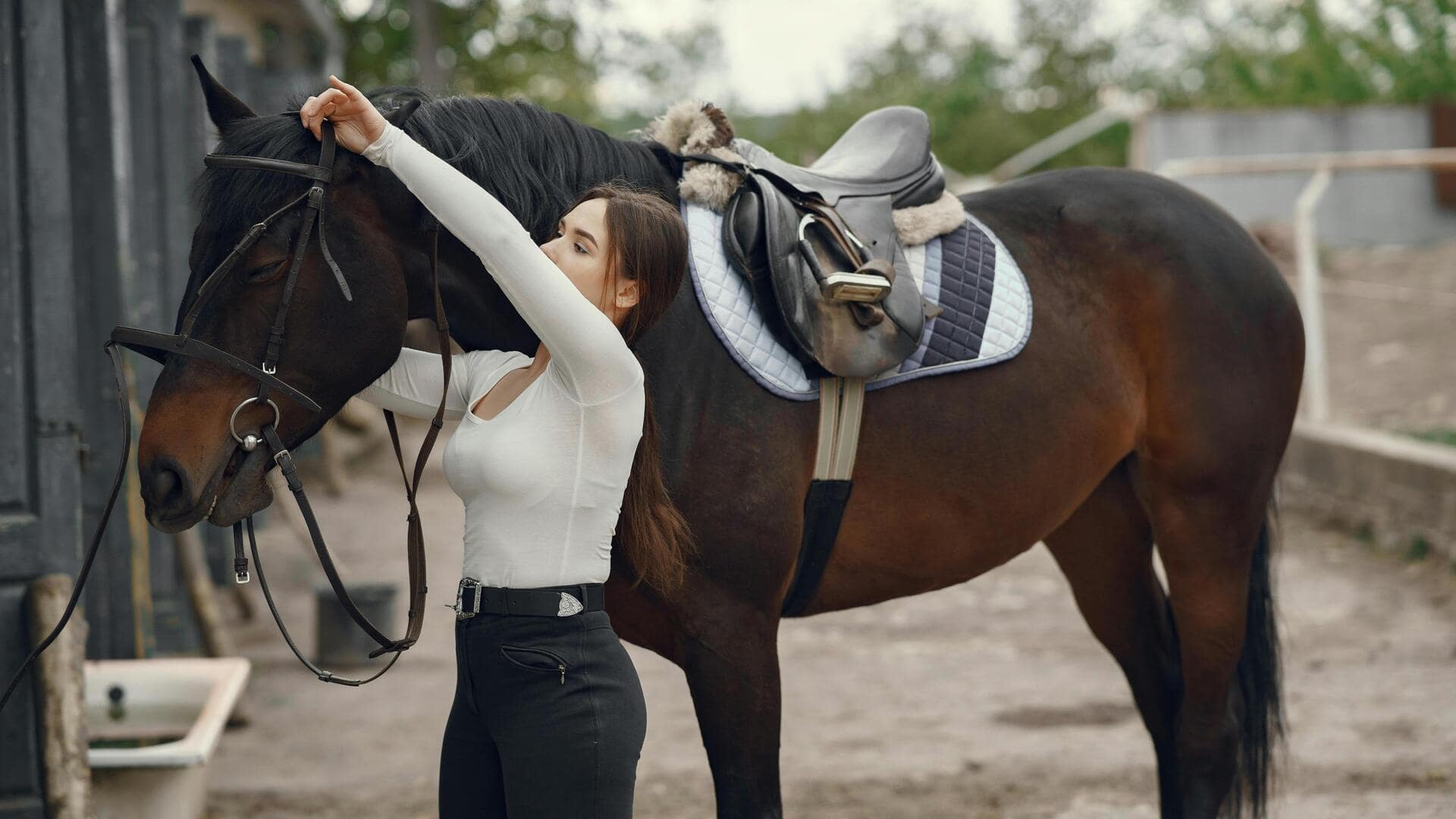 आपके पास घोड़ा है तो न करें ये 5 गलतियां, हो सकता है नुकसान