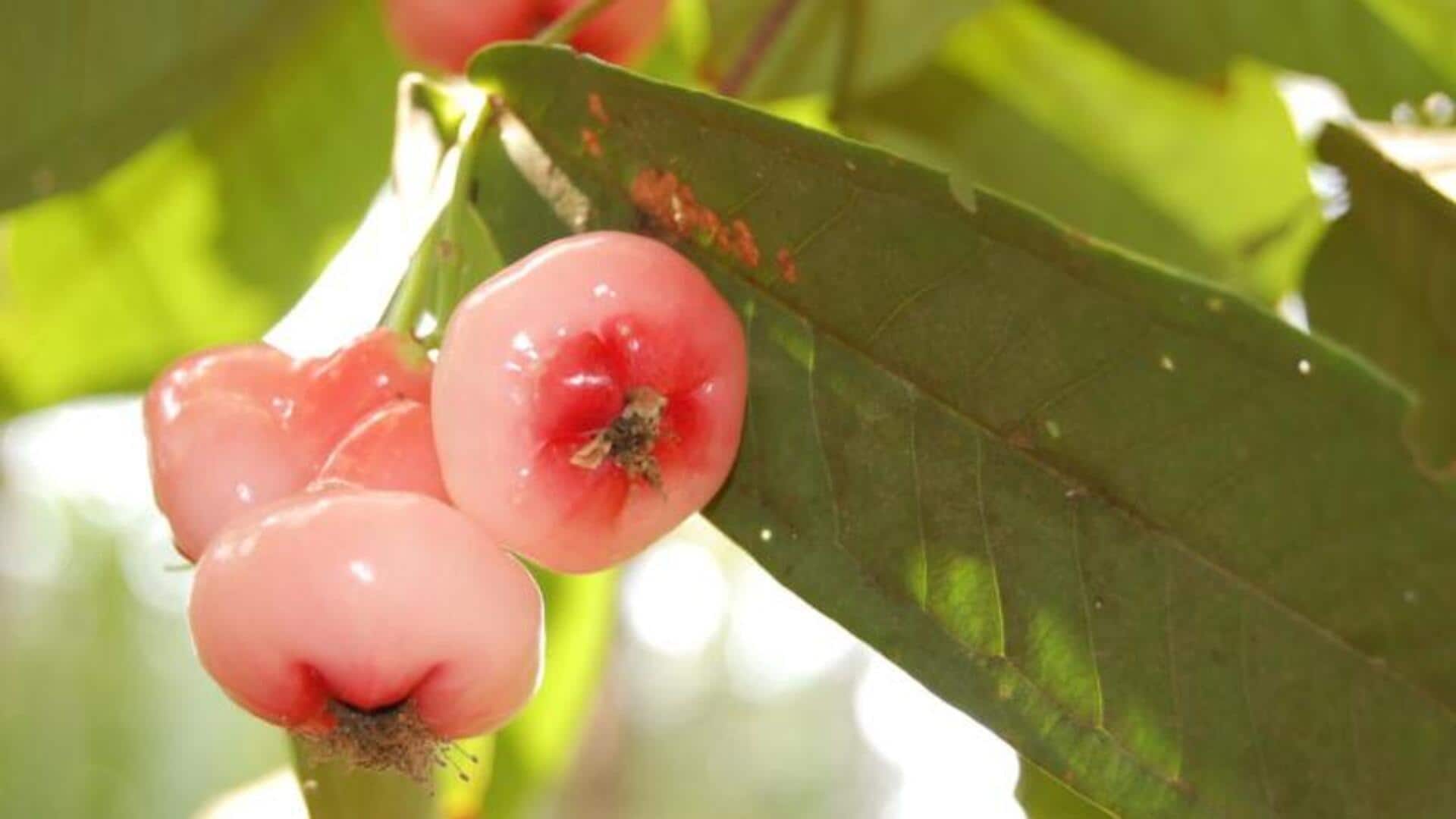 एक खास तरह का फल है 'लव एपल', जिसे खाने से मिलते हैं कई स्वास्थ्य लाभ