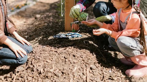 बागवानी करने वाले बच्चों की प्रतिरक्षा प्रणाली होती है मजबूत, नए अध्ययन में हुआ खुलासा बागवानी करने वाले बच्चों की प्रतिरक्षा प्रणाली होती है मजबूत, नए अध्ययन में हुआ खुलासा