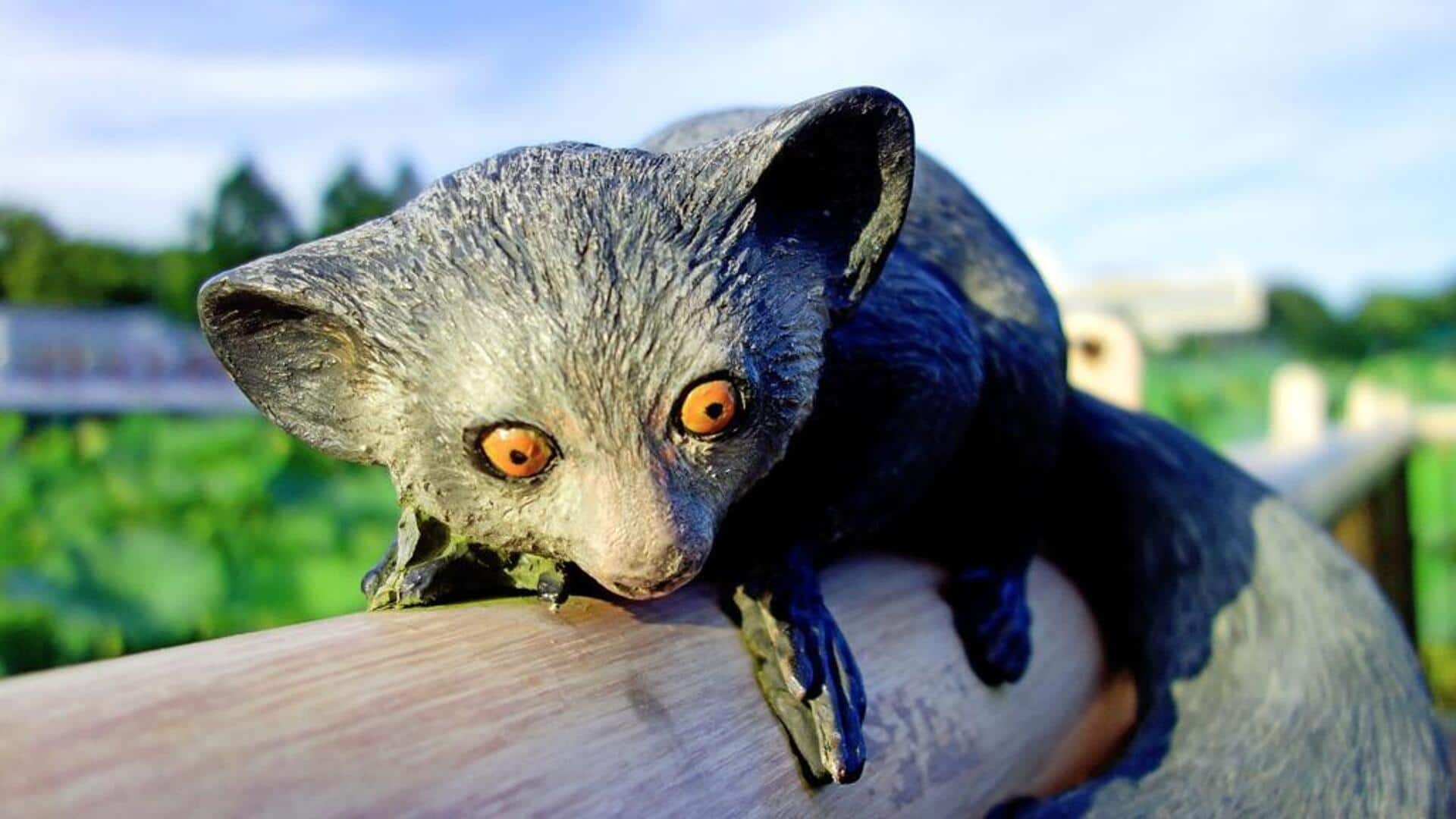 लाल पांडा से लेकर लामा तक: ये 5 जानवर नहीं होते हैं खतरनाक