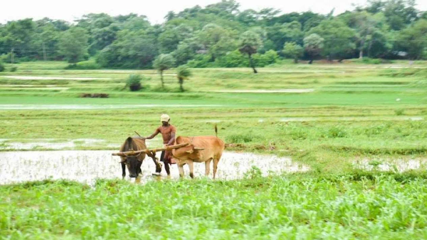 प्राकृतिक खेती वापस ला सकती है उत्पादकता- शाह प्राकृतिक खेती वापस ला सकती है उत्पादकता- शाह