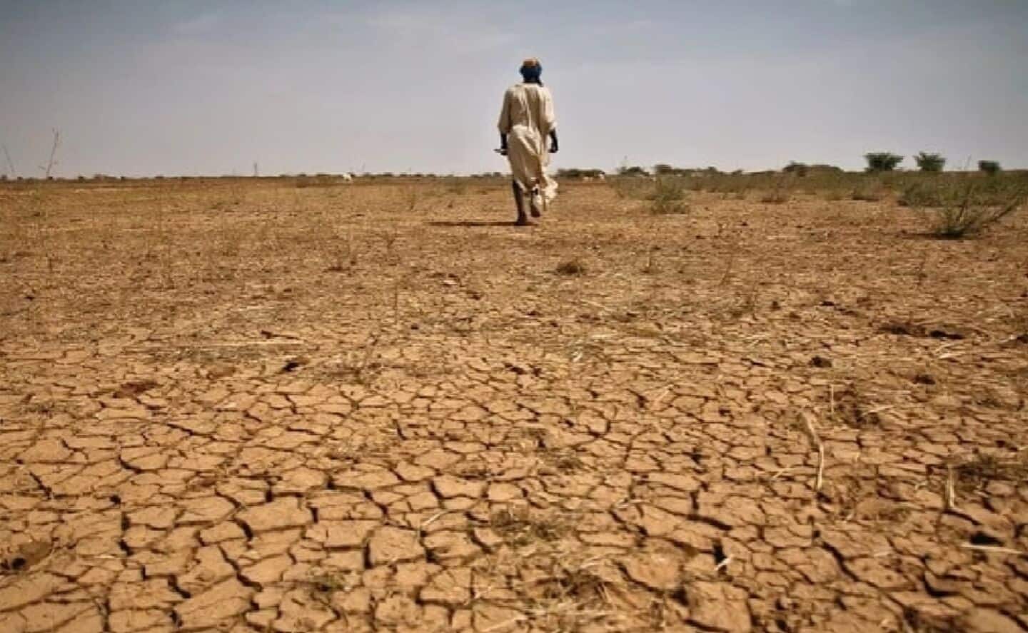 पाकिस्तान में 25 प्रतिशत पानी की कमी की आशंका, गेहूं की फसल हो सकती है प्रभावित
