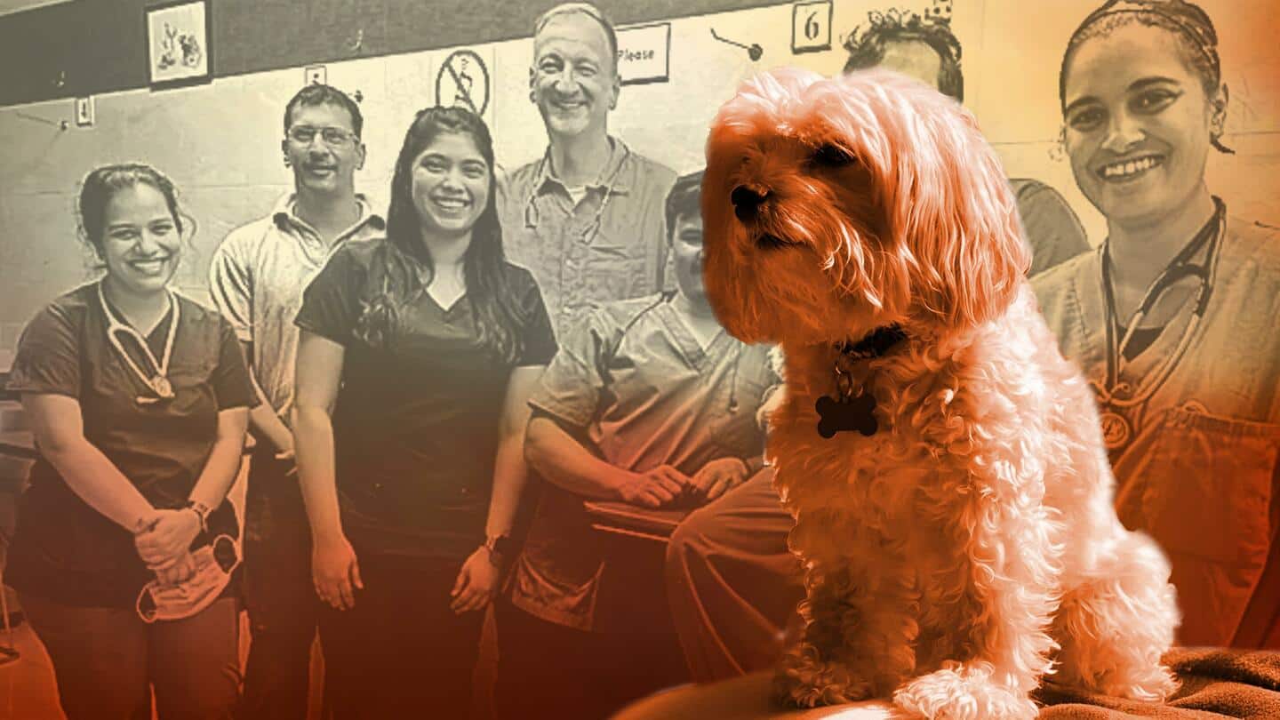 मुंबई: कुत्ते की ओपन हार्ट सर्जरी के लिए जर्मनी से आया डॉक्टर, बचाई गई जान