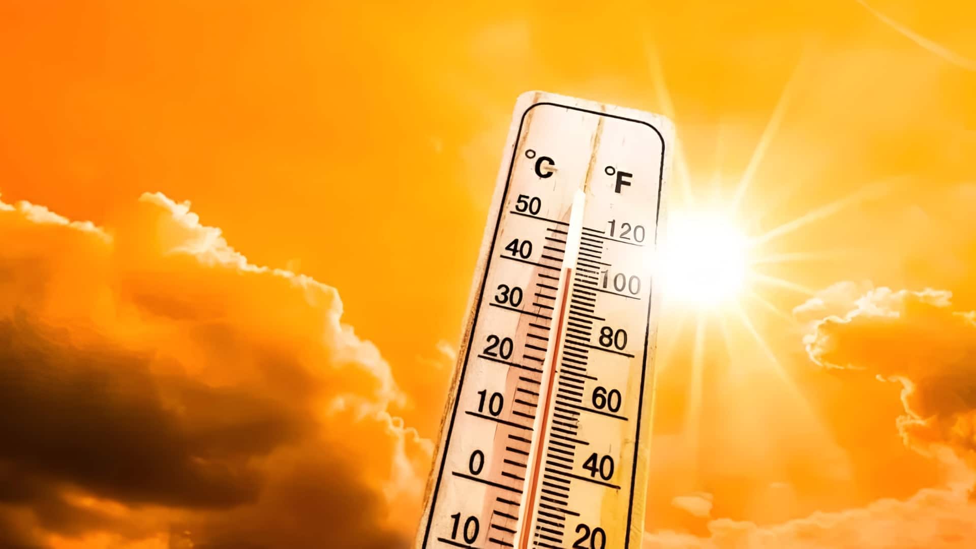 कई राज्यों में झुलसा देने वाली गर्मी का अलर्ट, इन जगहों पर हो सकती है बारिश