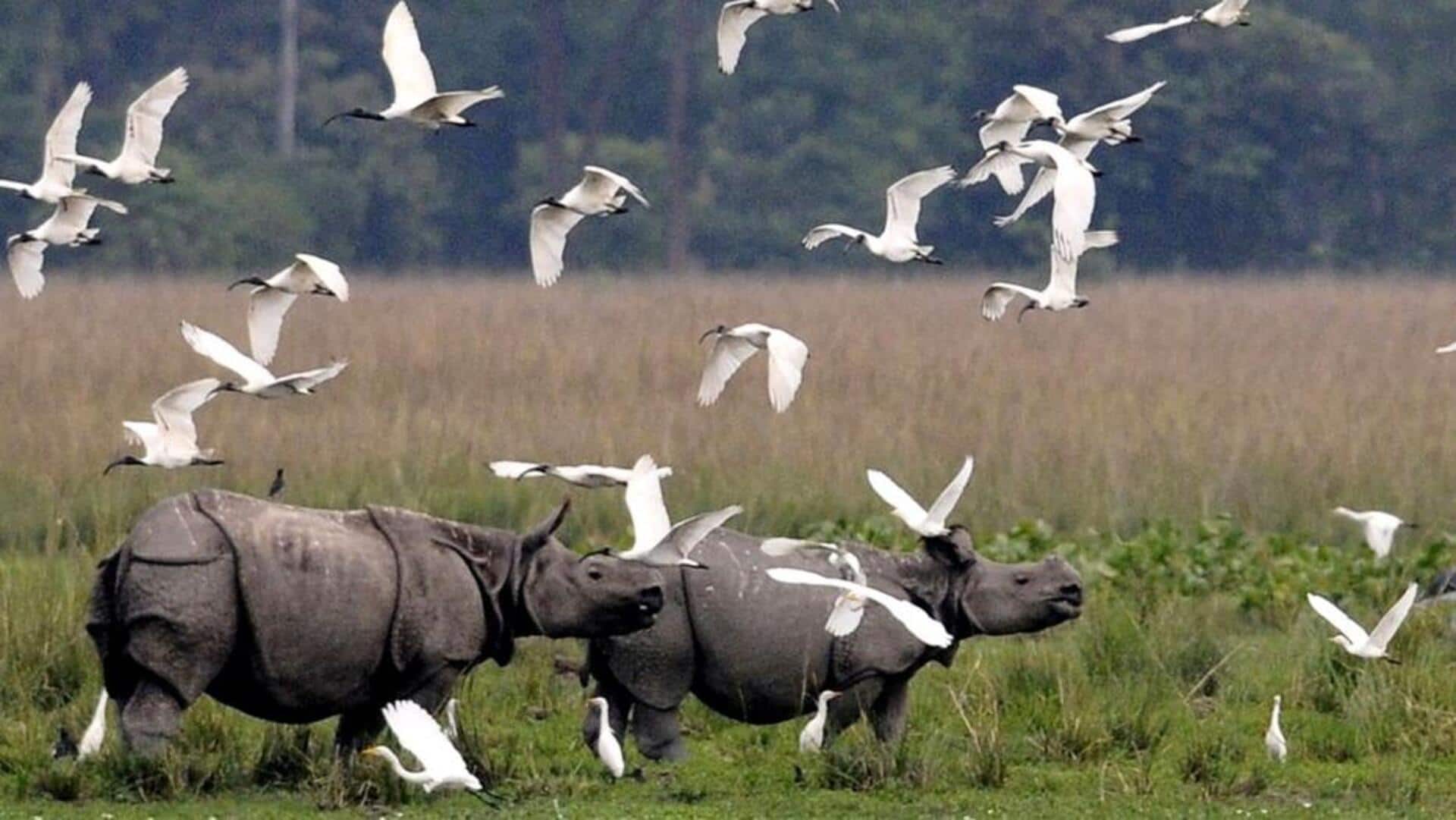 गर्मियों में घूमने के लिए बेहतरीन हैं ये राष्ट्रीय उद्यान, जानिए जाने का सही समय