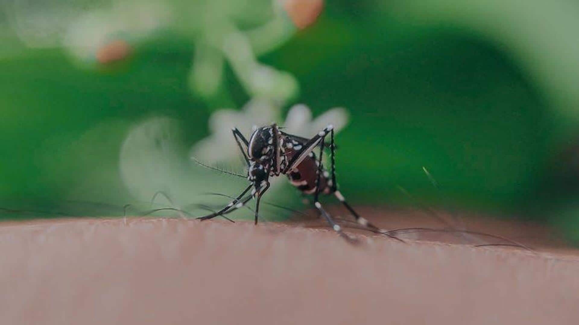 देश में लगातार बढ़ रहे डेंगू के मामले, बचाव के लिए इन 5 तरीकों को आजमाएं