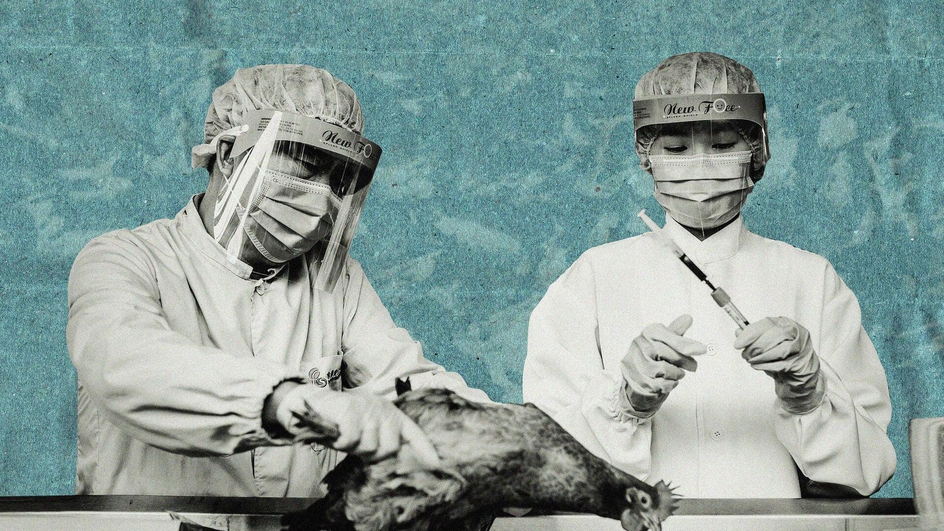 #NewsBytesExplainer: H5N1 वायरस से 5 करोड़ पक्षियों की मौत, जानें ये कितना खतरनाक