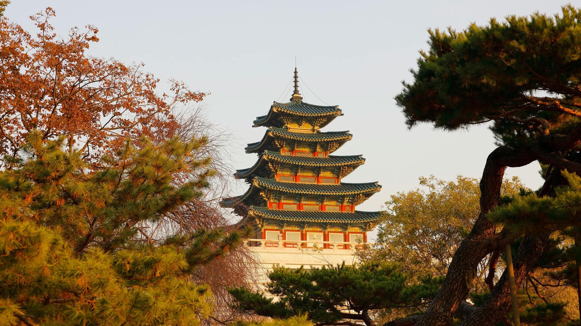 दक्षिण कोरिया के छिपे हुए खजाने हैं ये 5 खूबसूरत स्थान, एक बार जरूर देखने जाएं