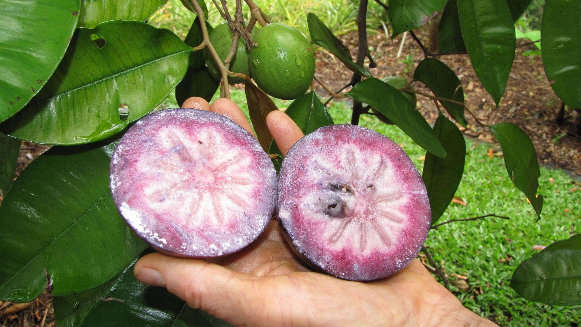 एक खास किस्म का फल है तारा सेब, इसे इन तरीकों से करें डाइट में शामिल