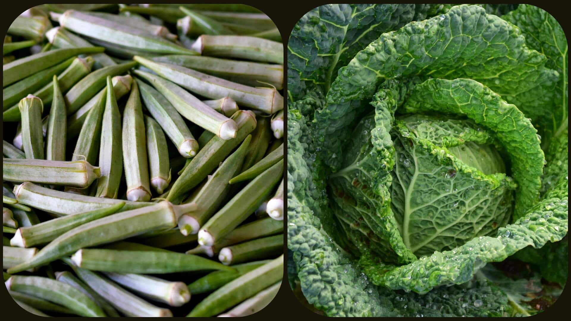 भिंडी बनाम पत्तागोभी: जानिए इनमें से किसका सेवन स्वास्थ्य के लिए है बेहतर