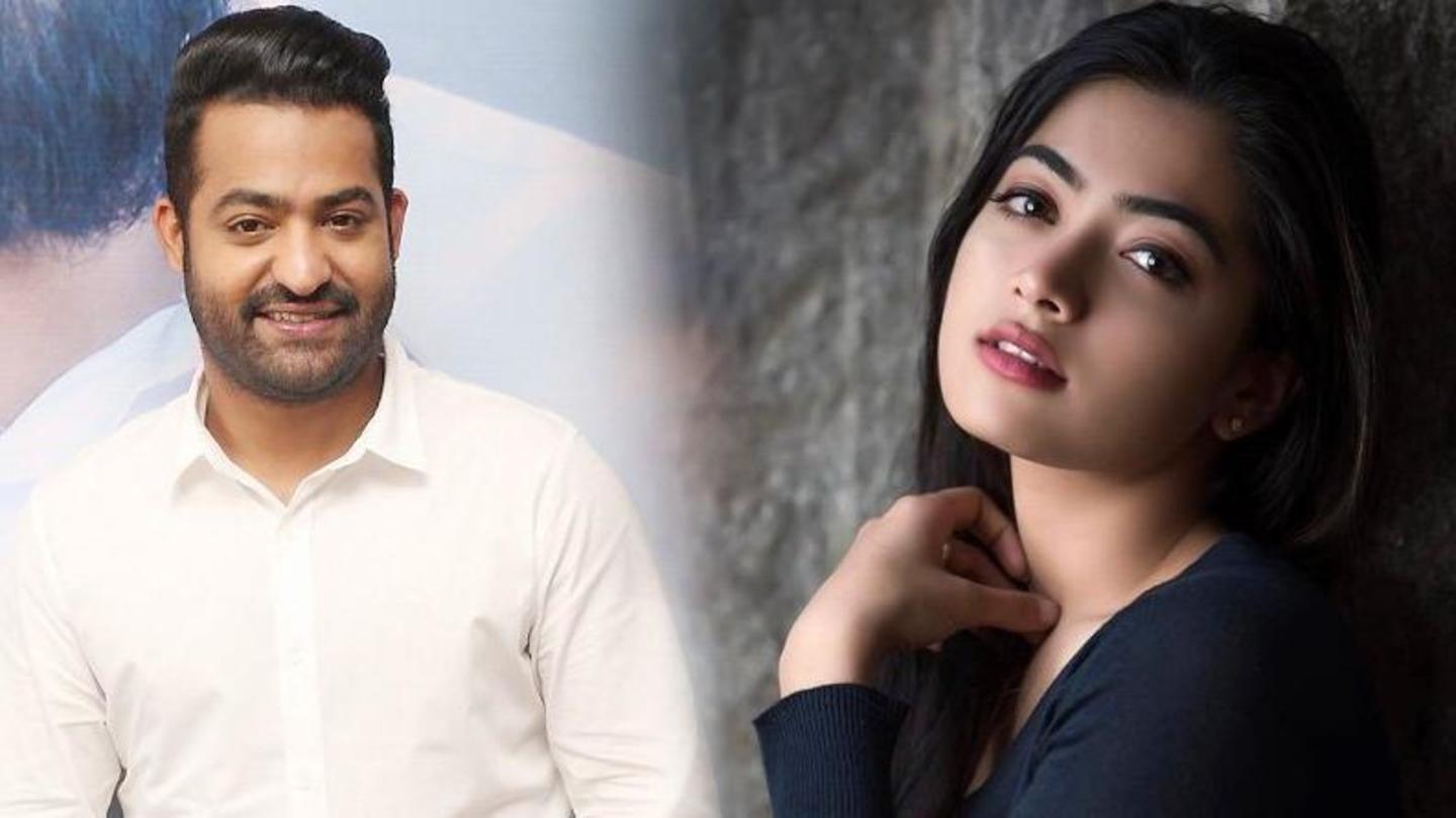 जूनियर NTR के साथ भी बन सकती है रश्मिका की जोड़ी जूनियर NTR के साथ भी बन सकती है रश्मिका की जोड़ी