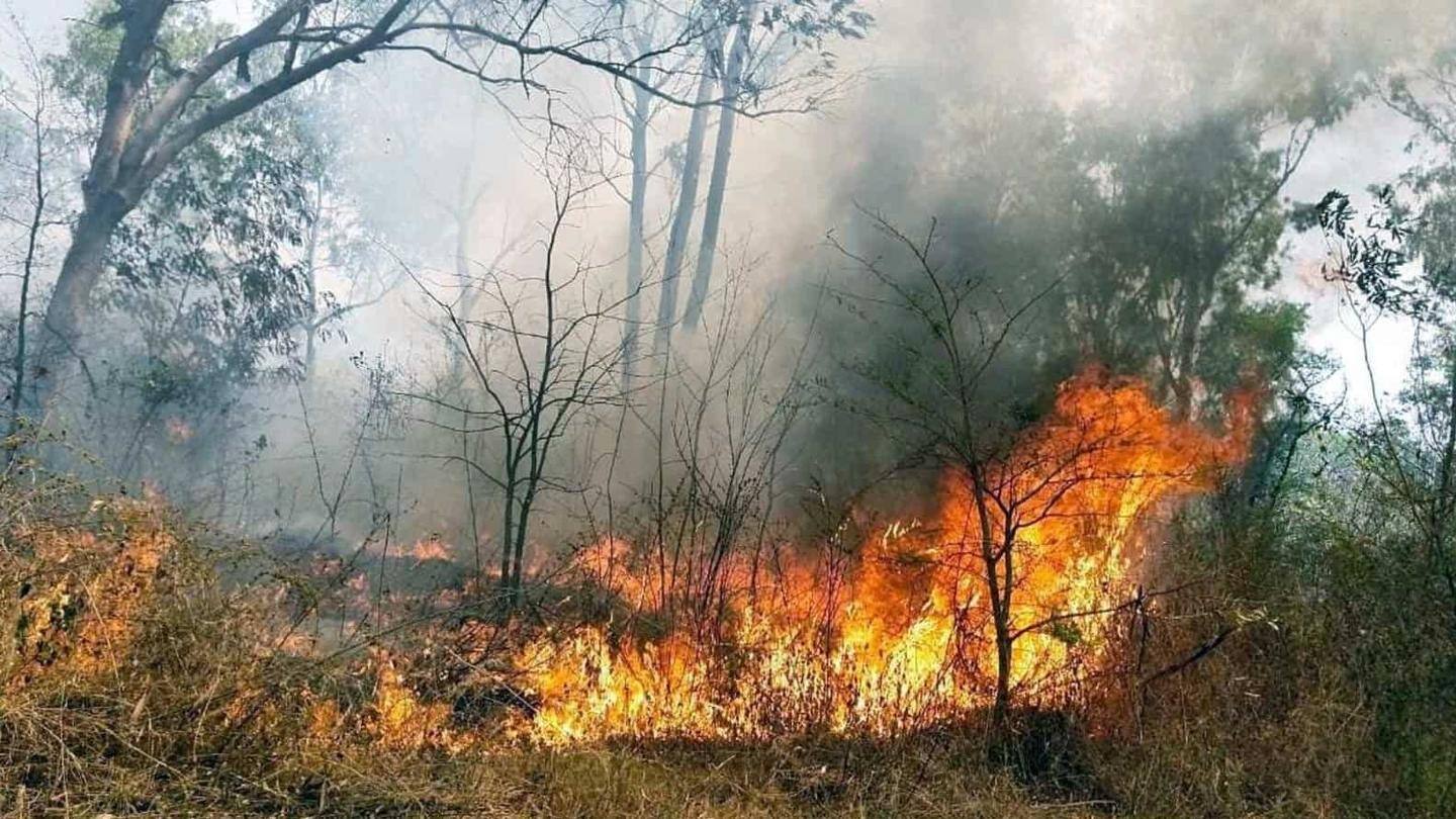 पिछले साल आई थी आगजनी की घटनाओं में कमी पिछले साल आई थी आगजनी की घटनाओं में कमी