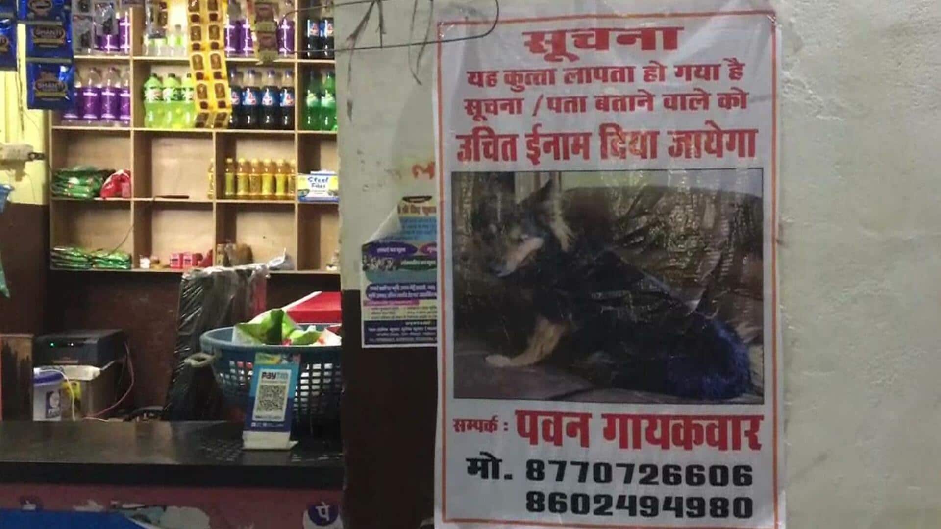 मध्य प्रदेश: ग्वालियर में IAS अधिकारी का कुत्ता लापता; ढूंढने में जुटा प्रशासन, पोस्टर लगाए गए