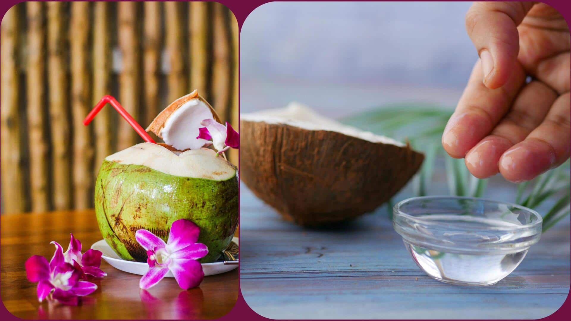 नारियल का तेल बनाम नारियल पानी: गर्मियों में बालों की देखभाल के लिए क्या है बेहतर?