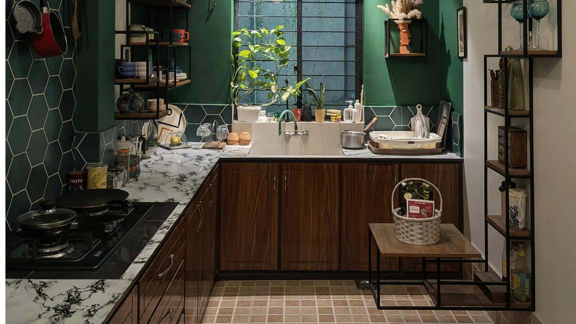 रसोई में नहीं होंगे कीड़े-मकोड़े, इन 5 बातों का रखें ध्यान