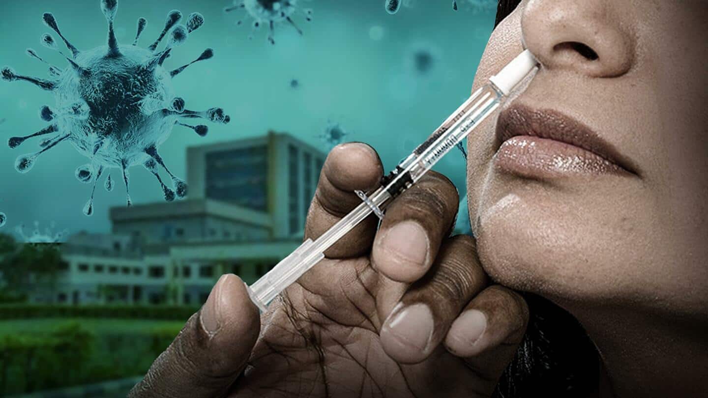 गणतंत्र दिवस पर भारत निर्मित दुनिया की पहली कोविड नेजल वैक्सीन लॉन्च, जानें इसके बारे में