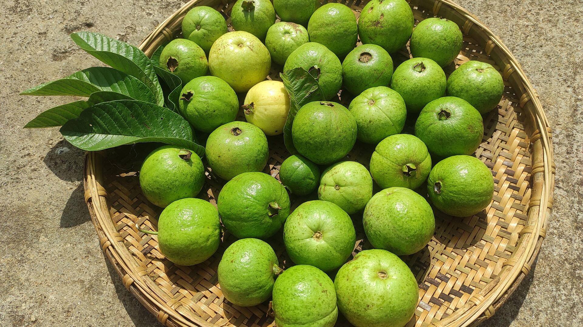 मानसून के दौरान इन 5 फलों का करें सेवन, रहेंगे स्वस्थ और रोगों से सुरक्षित
