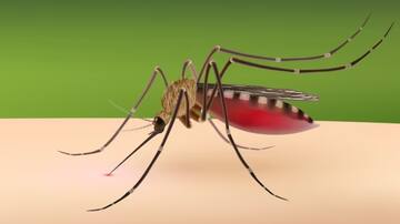 मलेरिया से लड़ने का JNU के वैज्ञानिकों ने खोजा अनोखा तरीका