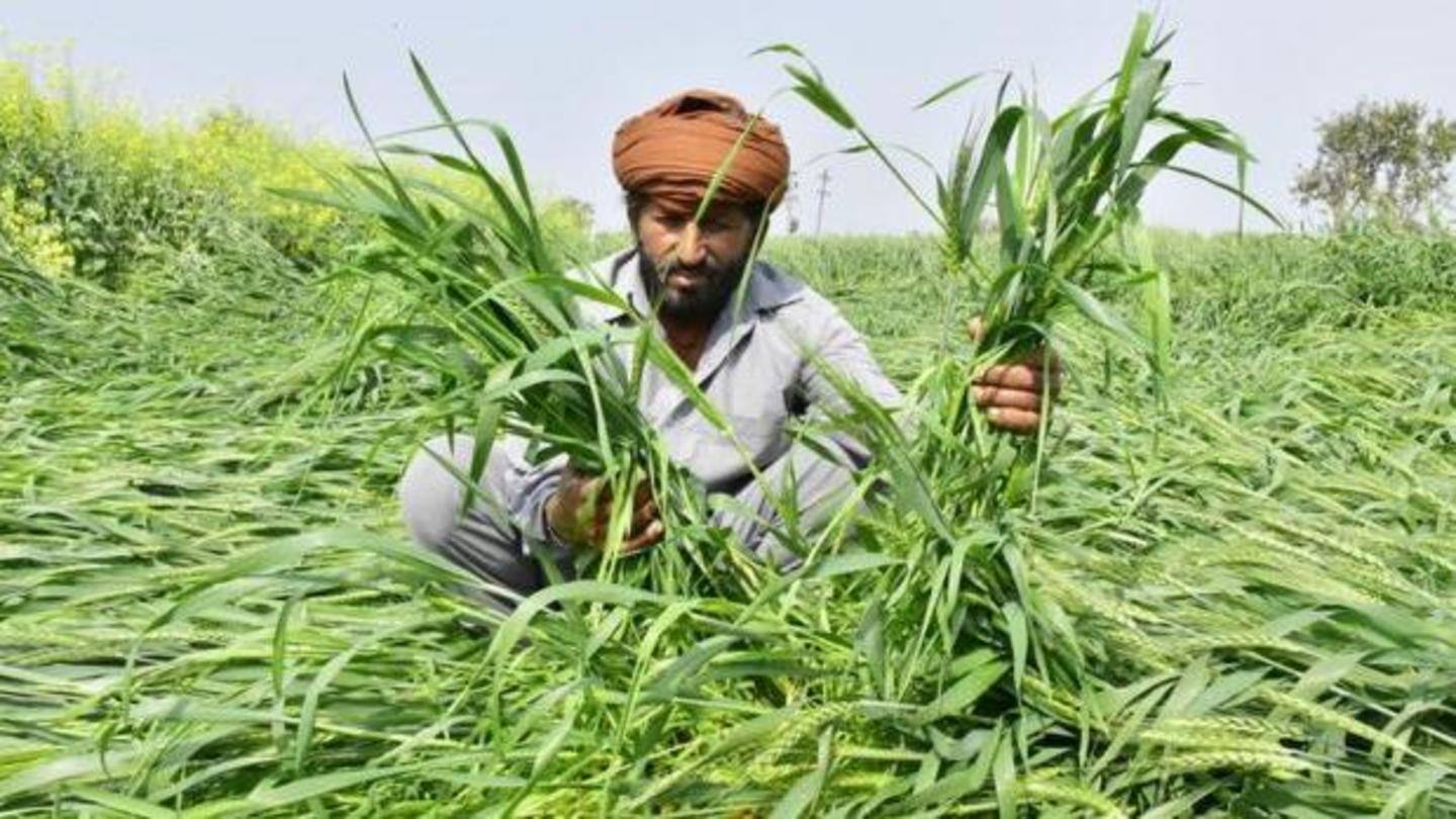 प्रधानमंत्री फसल बीमा योजना प्रधानमंत्री फसल बीमा योजना