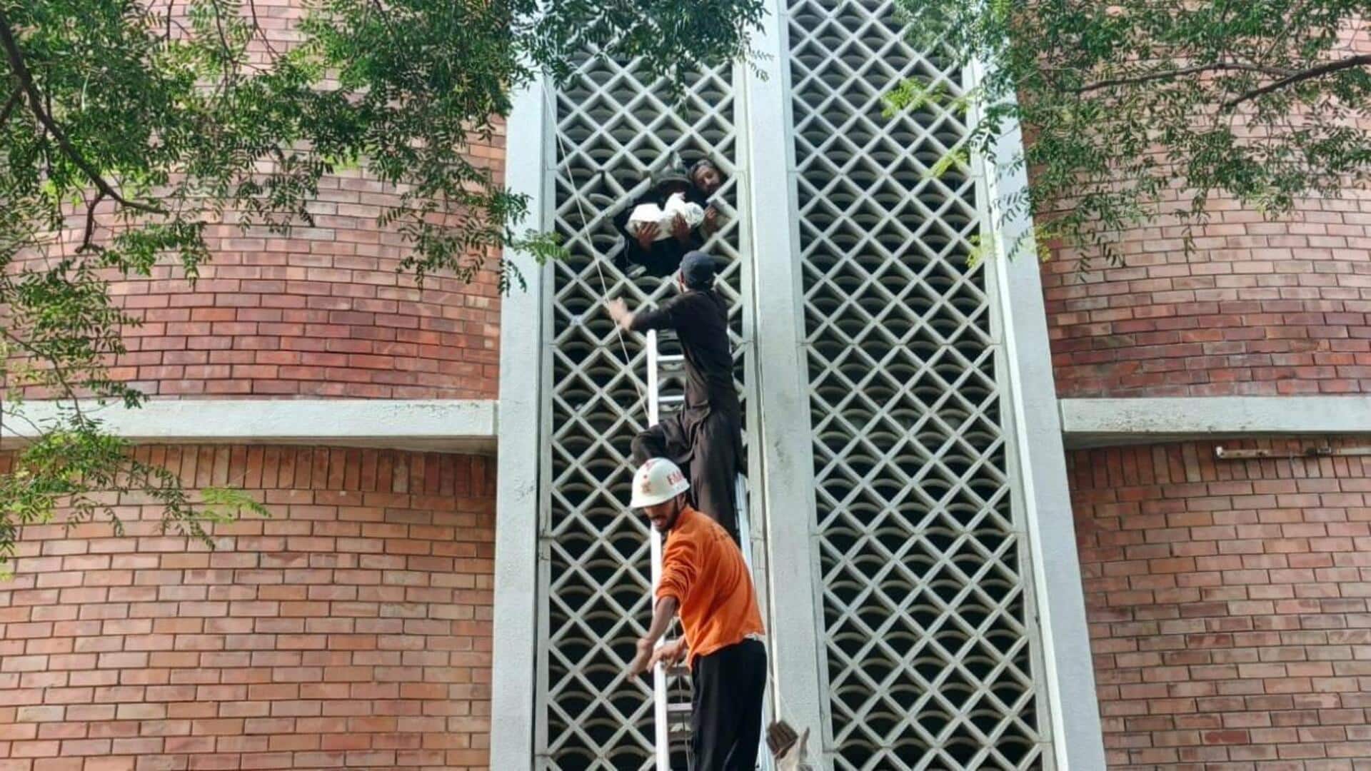 पाकिस्तान के PIMS अस्पताल में लगी भीषण आग, 15 नवजात बच्चों की मौत