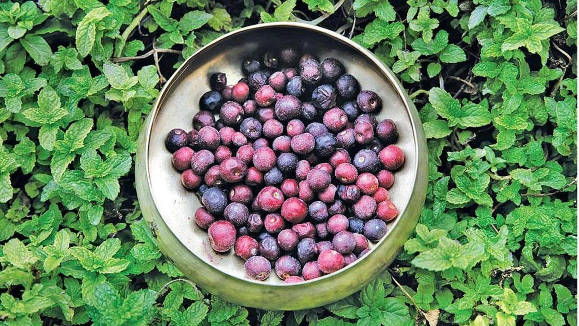 गर्मियों में जरूर करें फालसा का सेवन, जानिए इसके फायदे