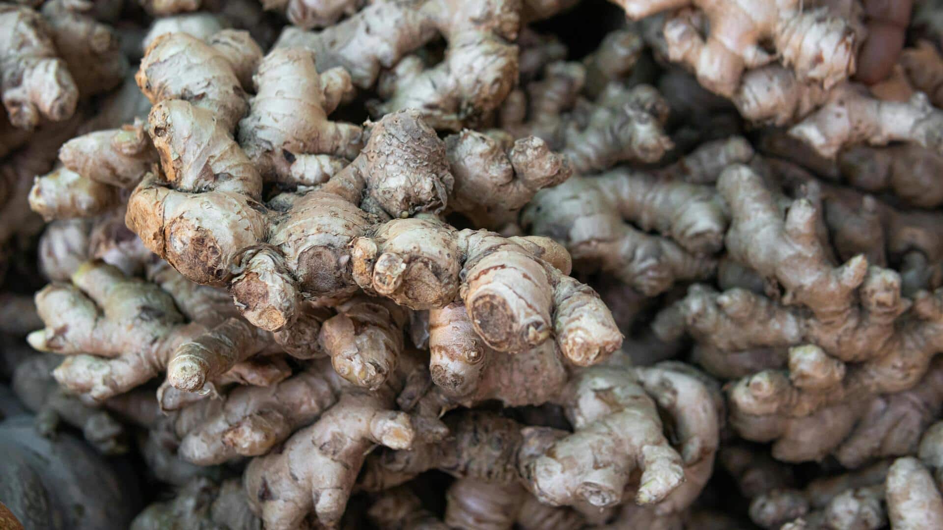 घर के गार्डन में अदरक उगाना चाहते हैं? जानिए इससे जुड़ी जरूरी बातें