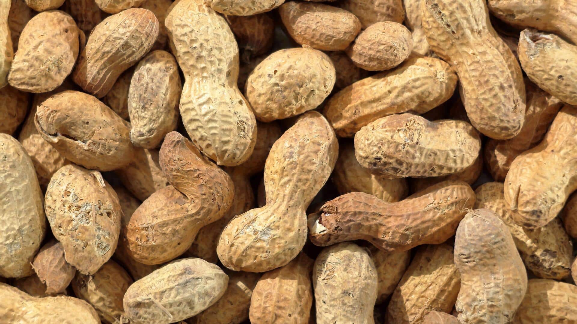 क्या मूंगफली खाने के बाद पानी पीना स्वास्थ्य के लिए हानिकारक है? जानिए 