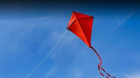 पतंग उड़ाते समय इन बातों का रखें खास ध्यान, सुरक्षित रहेगा त्योहार का मजा