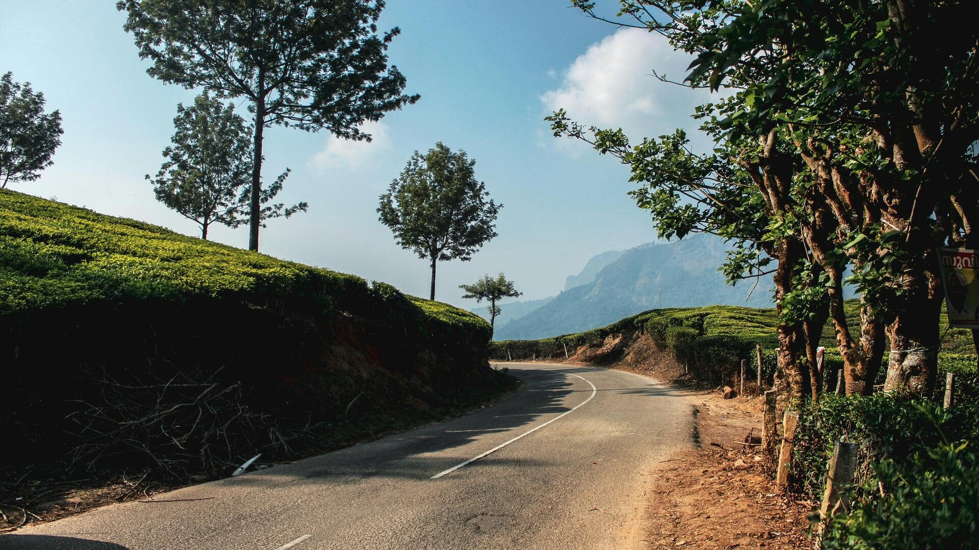 बेंगलुरु से कोडागु जा रहे हैं? इन 5 बातों का रखें खास ध्यान