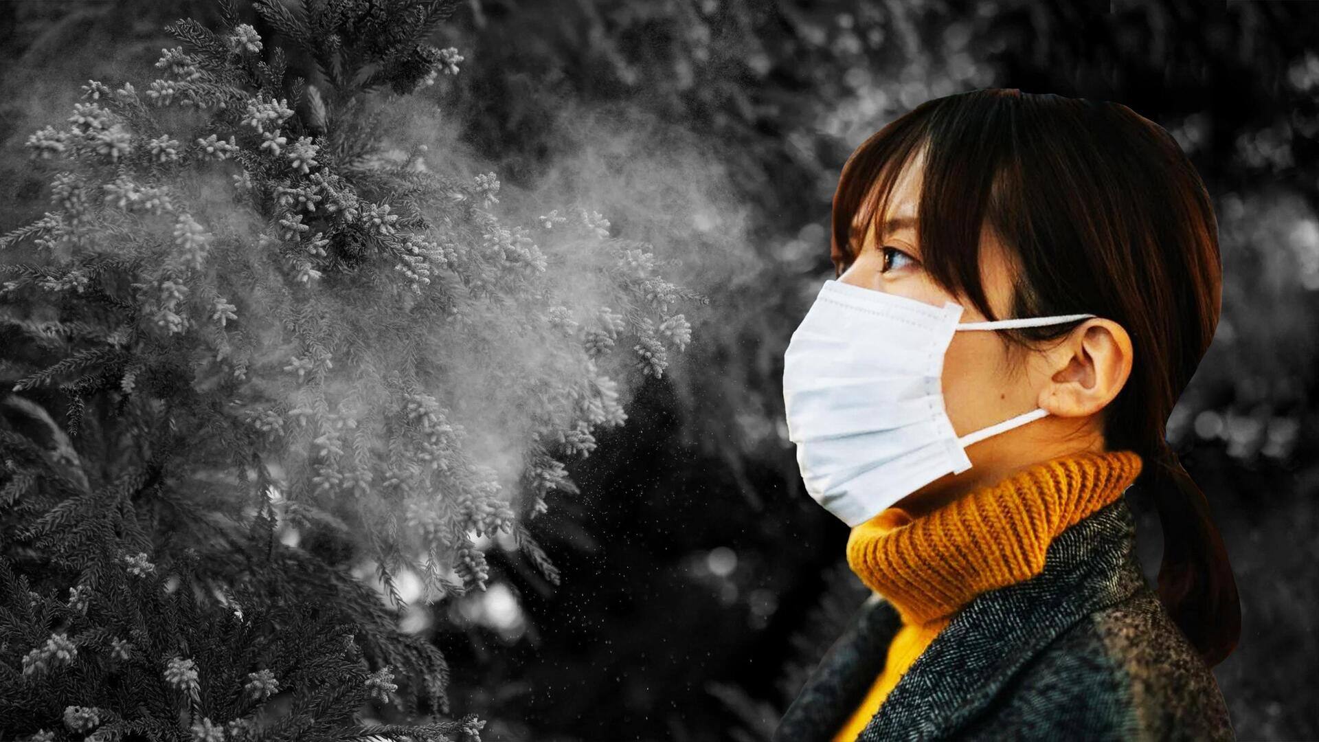 जापान: 'बुखार' से निपटने के लिए हर साल देवदार और सरू के 70,000 पेड़ काटेगी सरकार