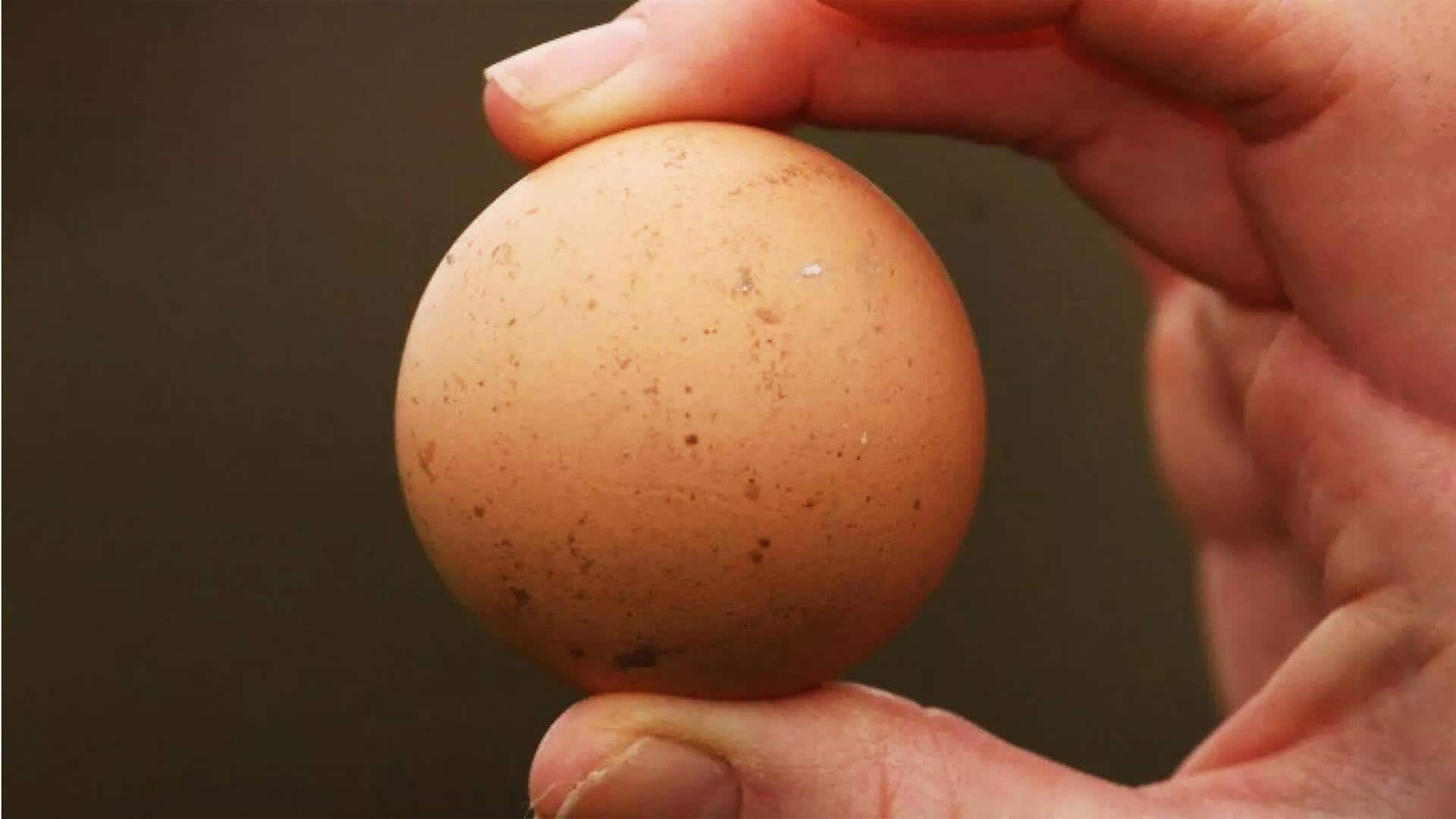 ऑस्ट्रेलिया में मिला गोलाकार अंडा, अरबों में होता है एक; हजारों रुपये है कीमत