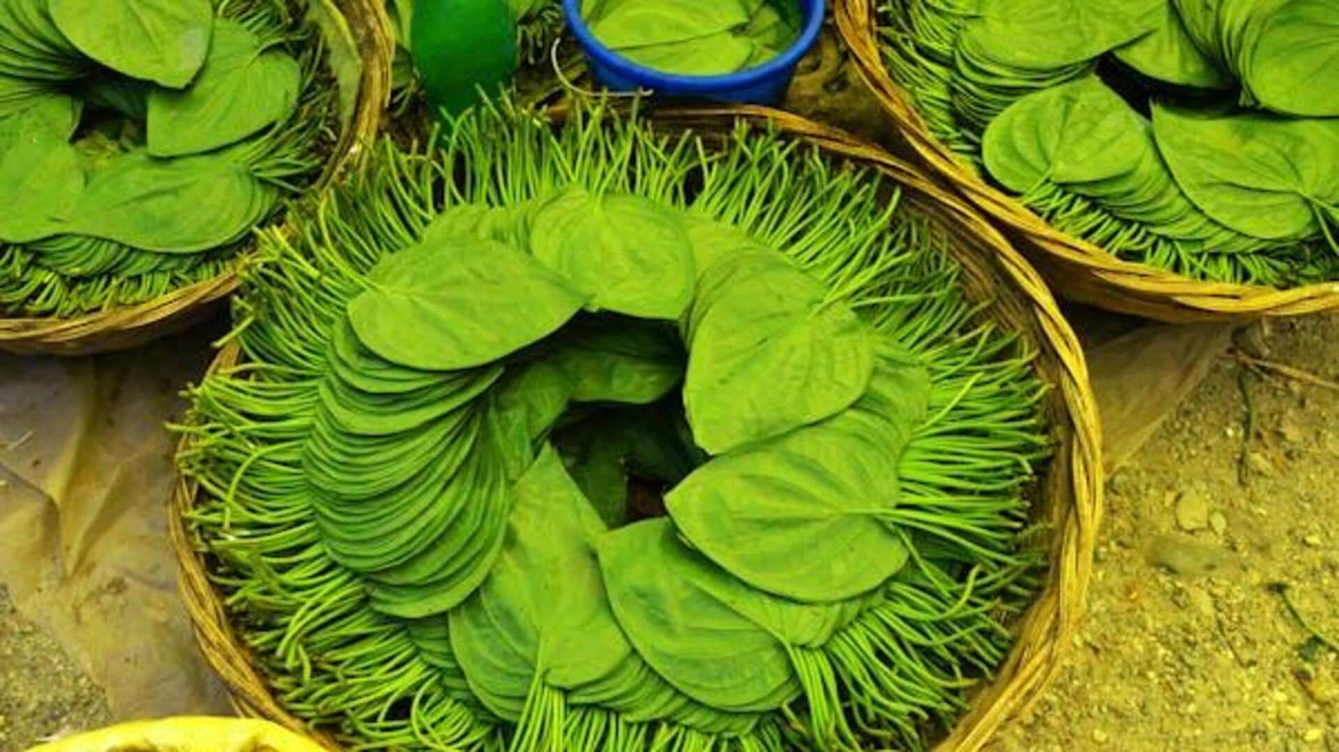 अपनी डाइट में किसी भी तरह से शामिल करें पान का पत्ता, मिल सकते हैं फायदे अपनी डाइट में किसी भी तरह से शामिल करें पान का पत्ता, मिल सकते हैं फायदे