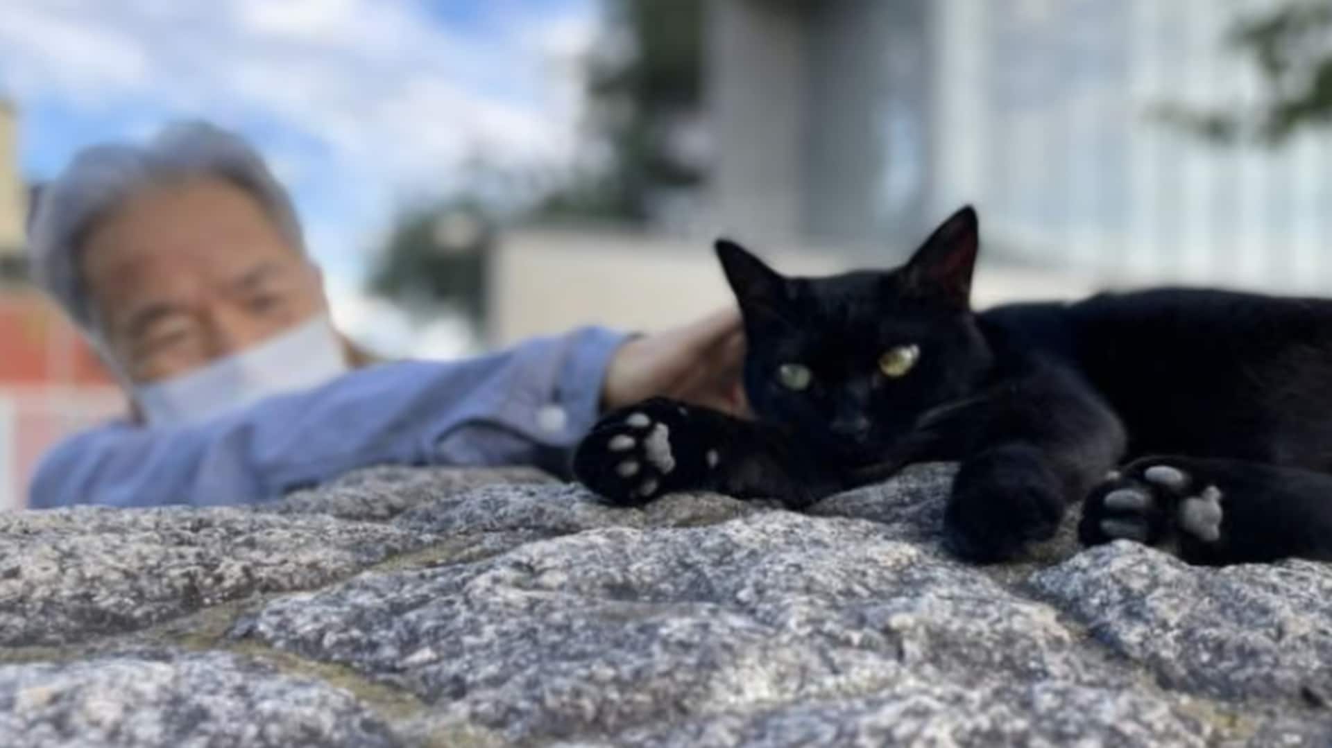 जापान के सुरक्षा गार्ड और बिल्ली का अनोखा रिश्ता लोगों को कर रहा है भावुक