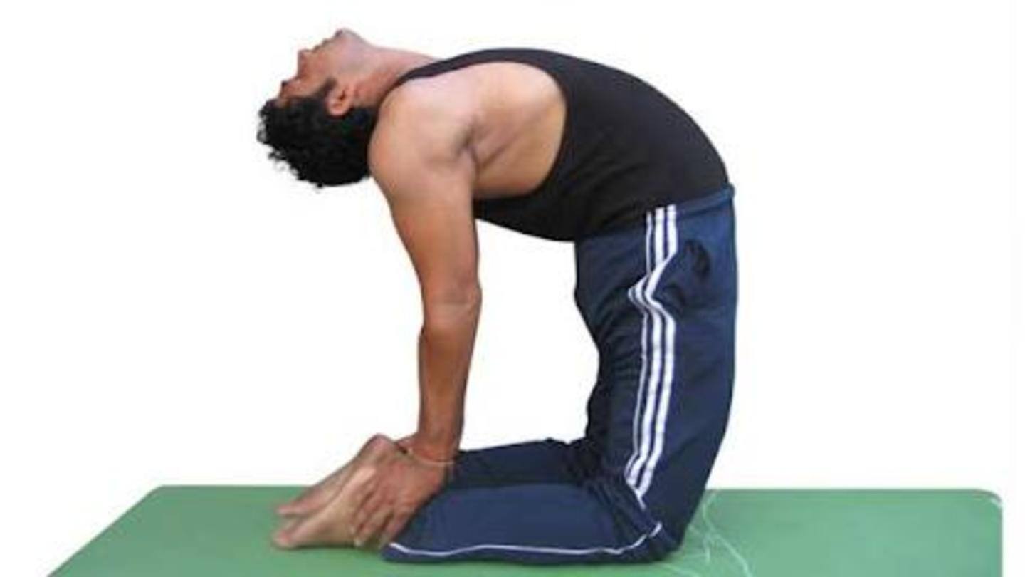उष्ट्रासन उष्ट्रासन