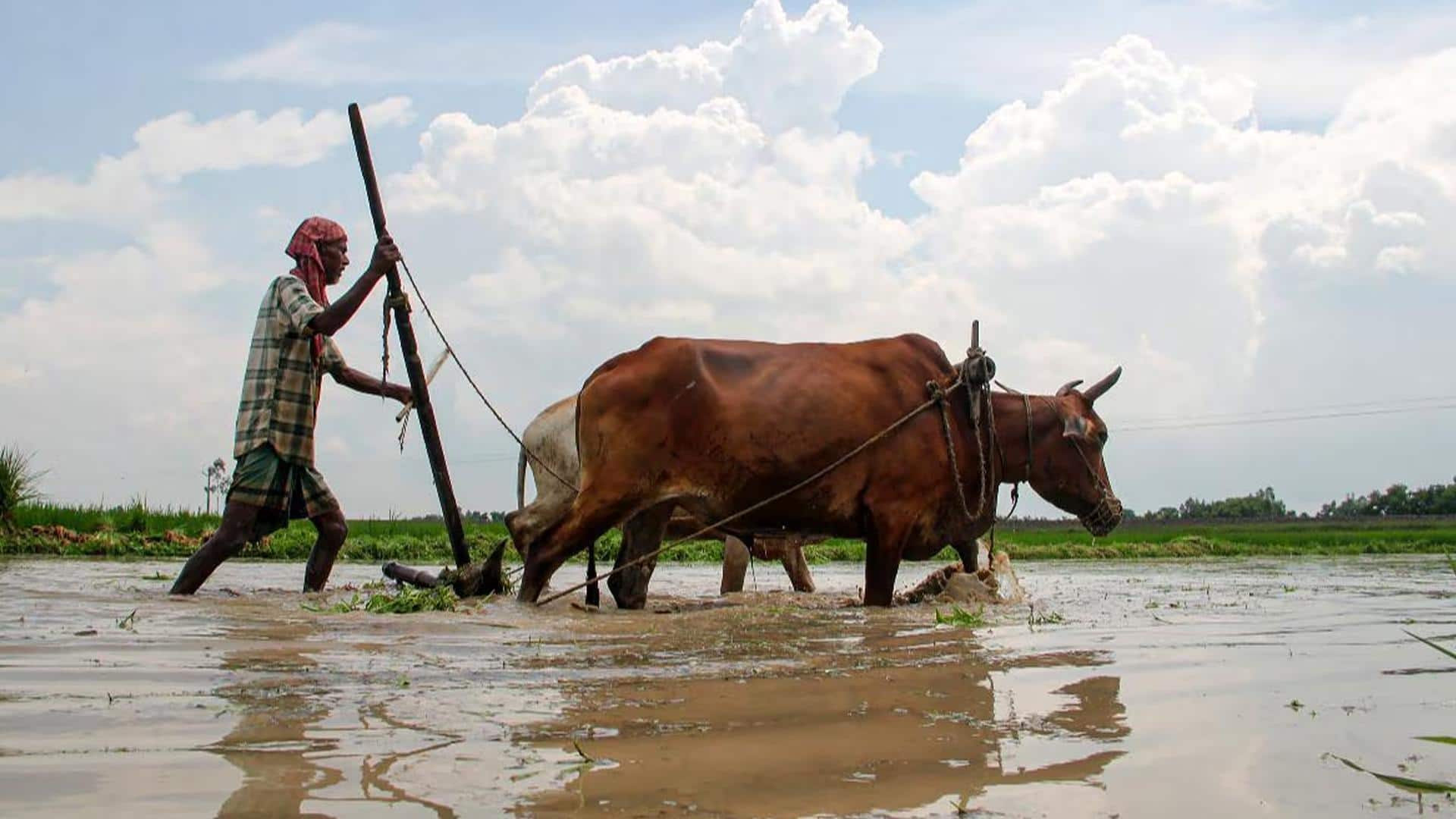 भारत-विस्तार AI टूल हुआ लॉन्च, किसानों के लिए इस तरह होगा लाभकारी