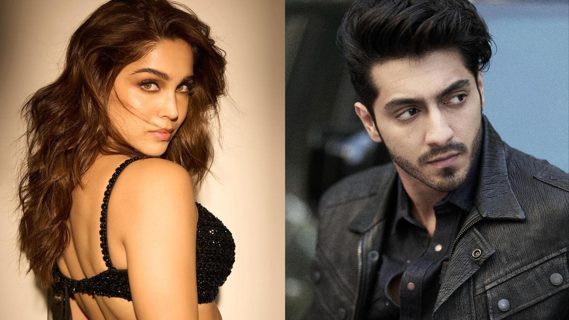 अहान पांडे और शरवरी की फिल्म को मिल गया विलेन? इस कलाकार पर लगा है दांव