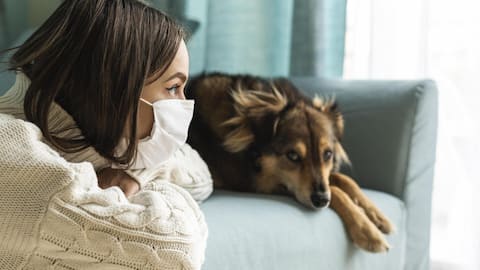 पालतू जानवरों से है एलर्जी? जानिए इसके इलाज के तरीके और अन्य जरूरी बातें