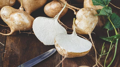 घर के गार्डन में आसानी से उगाई जा सकती है जिकामा, जानिए इसके लिए जरूरी बातें