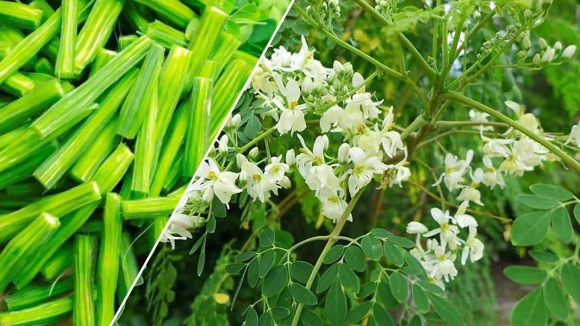 घर के बगीचे में सहजन का पौधा उगाने के लिए अपनाएं ये तरीके