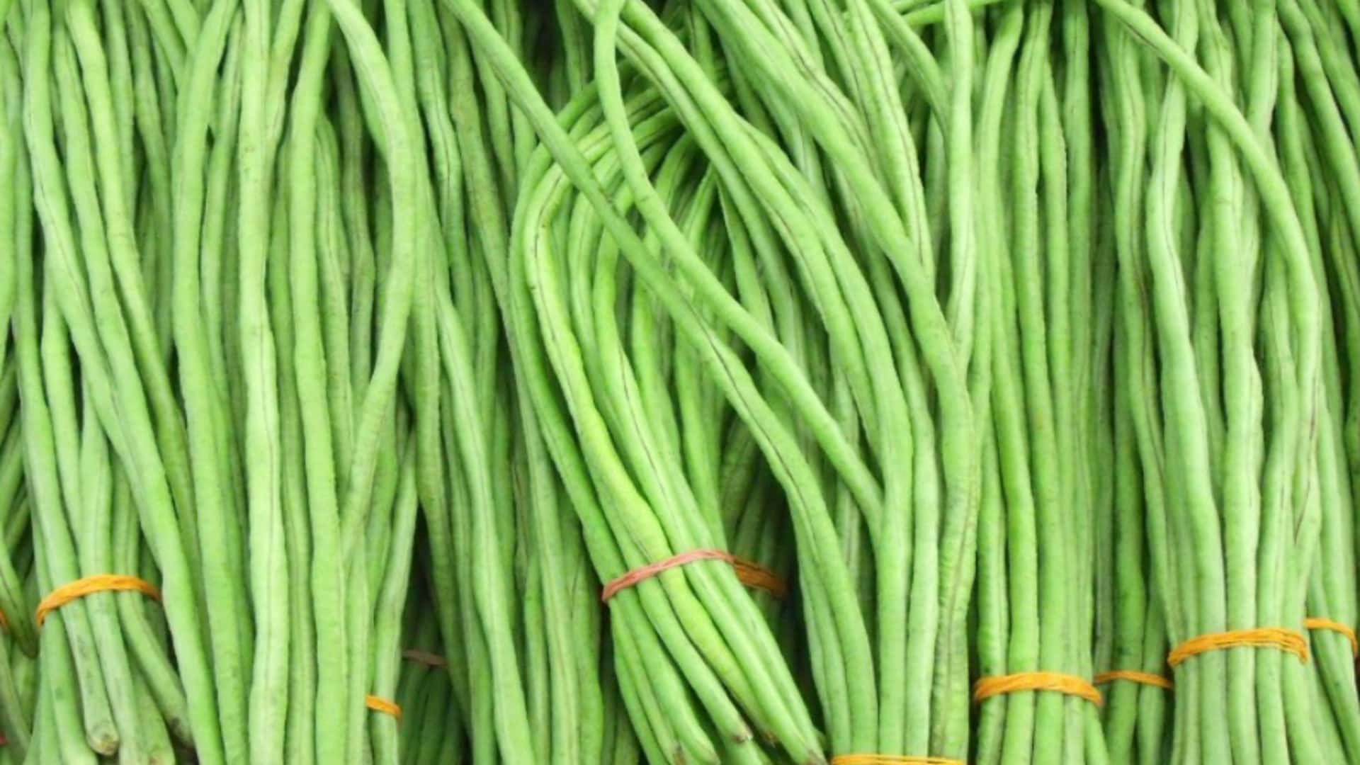 हैंगिंग पॉट में की जा सकती है चिचिंडा यानि स्नेक बीन्स की खेती, जानिए कैसे 