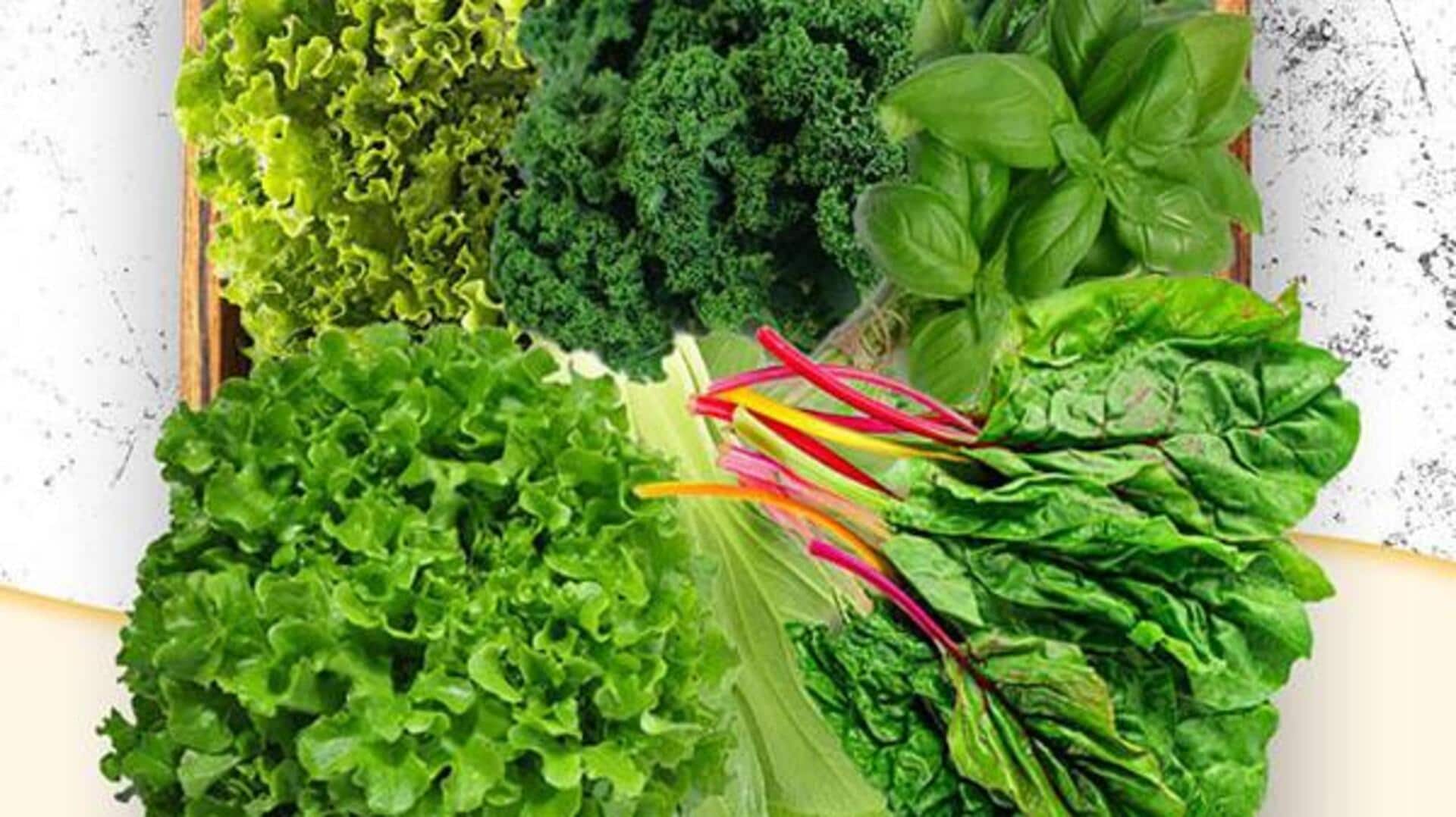 सब्जियां खरीदने के बाद इन हैक्स को अपनाएं, हफ्तों तक रहेंगी ताजा