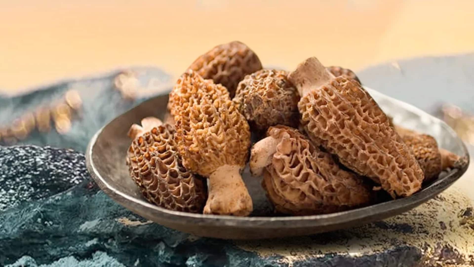 दुनिया के सबसे महंगे मशरूम में शामिल है हिमालयी पहाड़ों पर उगने वाला 'गुच्छी', जानिए खासियत