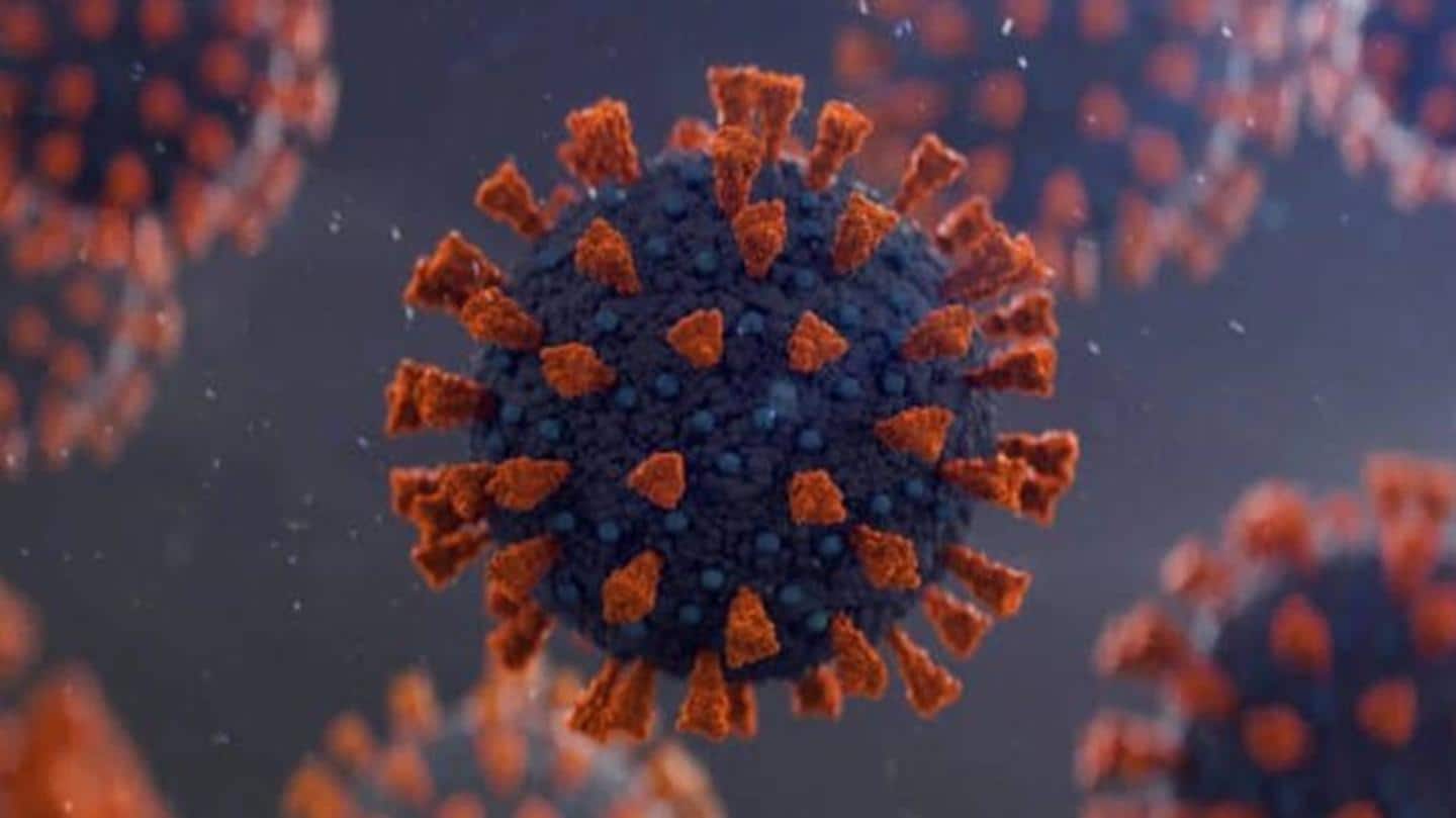 वैक्सीन को भी चकमा दे सकता है कोरोना वायरस का C.1.2 वेरिएंट- अध्ययन