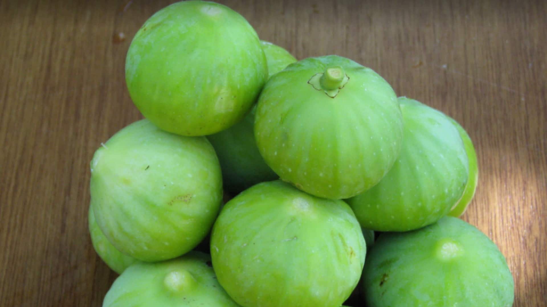 टिंडे की खेती को ज्यादा लाभदायक बनाने के लिए ट्रेलिस का करें उपयोग, मिलेगा अधिक उत्पादन