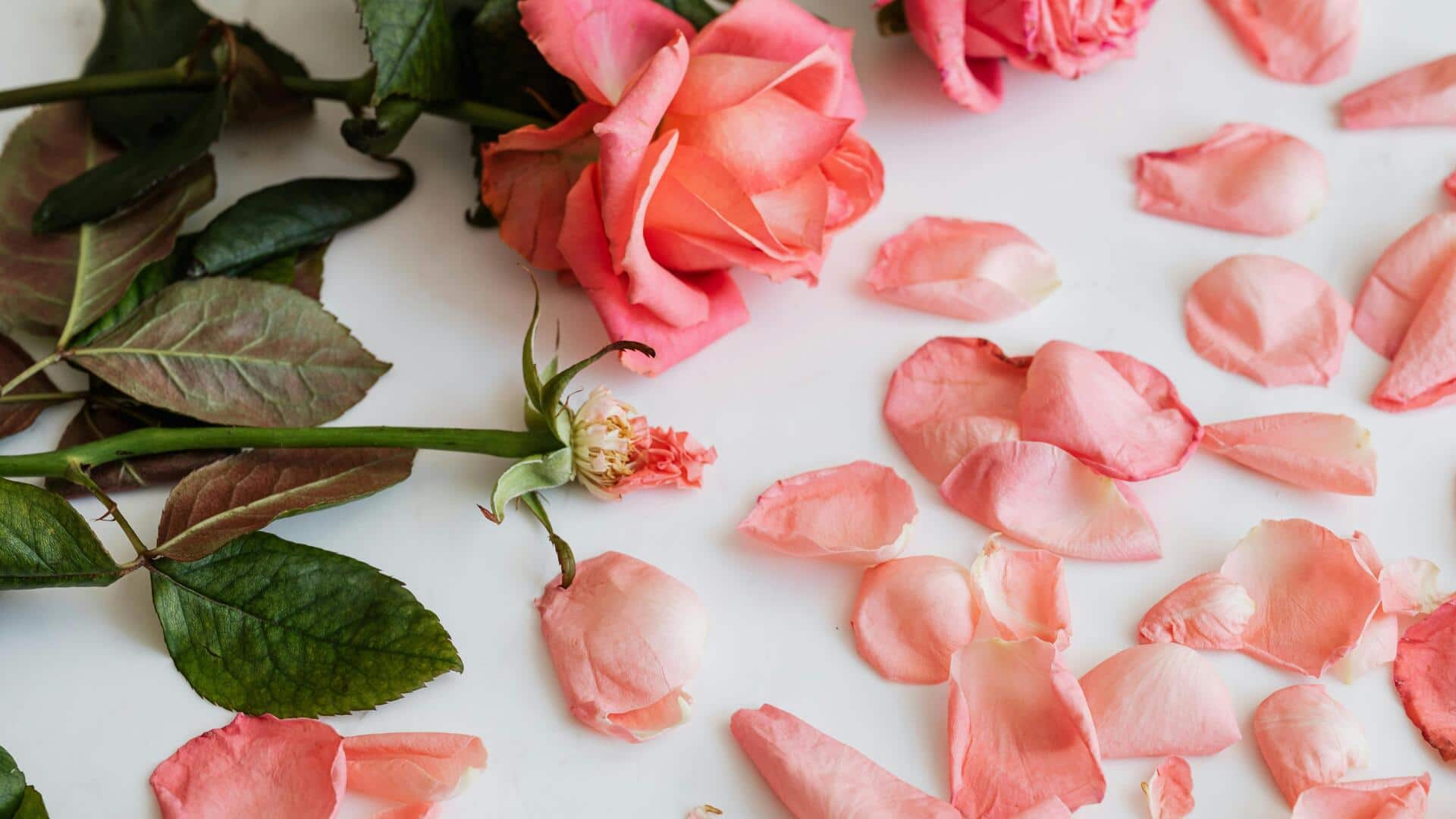 गुलाब की पंखुड़ियों का सेवन करने से मिल सकते हैं ये 5 फायदे