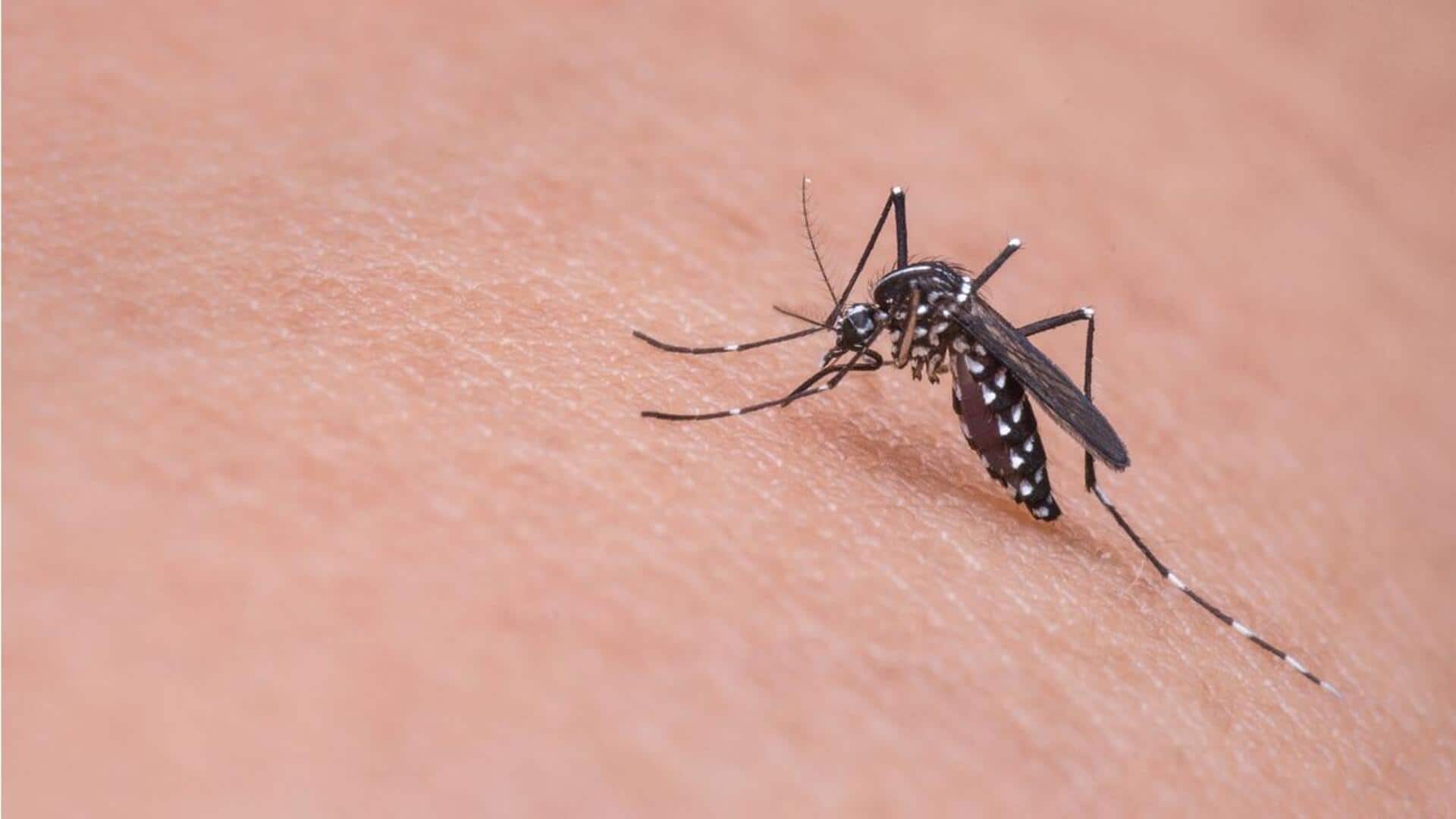 देशभर में बढ़ रहे डेंगू के मामले, बचाव के लिए इन 5 चीजों का करें सेवन